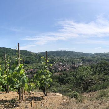 coteaux